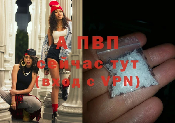 стафф Алексин