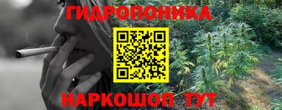индика Канаш