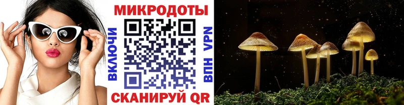 сайты даркнета как зайти  Мичуринск  Псилоцибиновые грибы MAGIC MUSHROOMS 