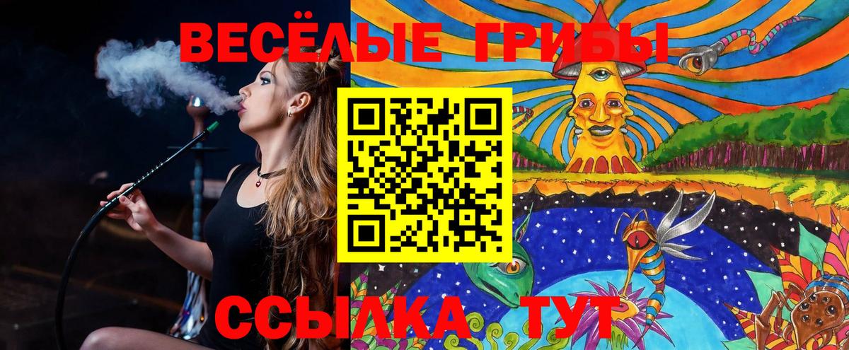 Галлюциногенные грибы прущие грибы Мичуринск