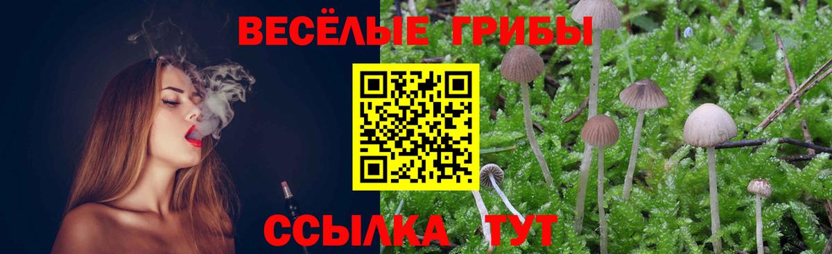 Галлюциногенные грибы прущие грибы  Вход с VPN  Мичуринск 
